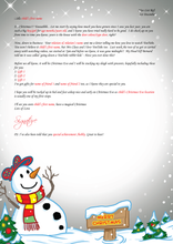 Load image into Gallery viewer, Personalised Santa Letter and Extras - Youtube Themed
